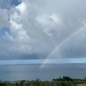 Meet your Posher, Anabel